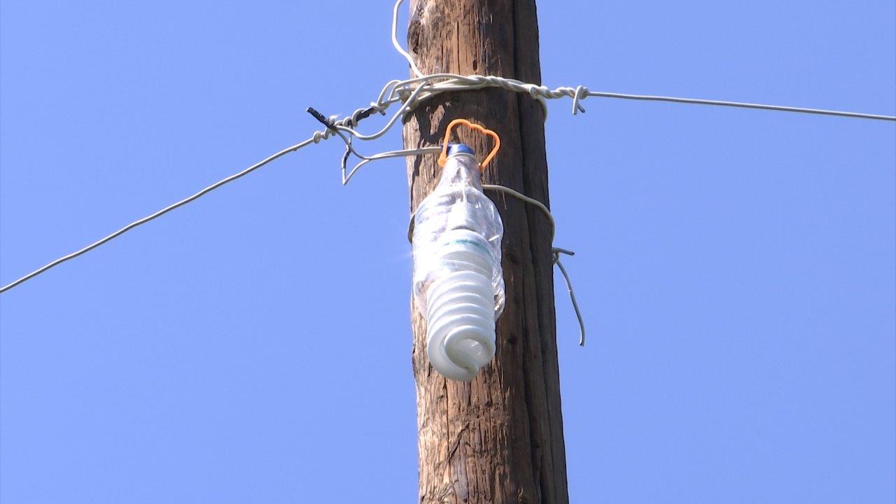 Vivacell-MTS: Self-Made Lighting Will Be Replaced by LED lighting System