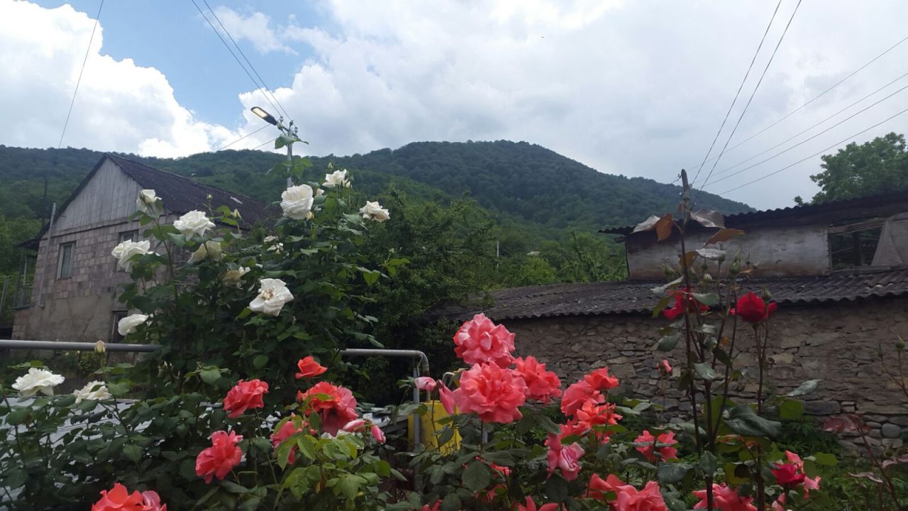 Viva-MTS: Target program implemented in borderland village of Voskepar