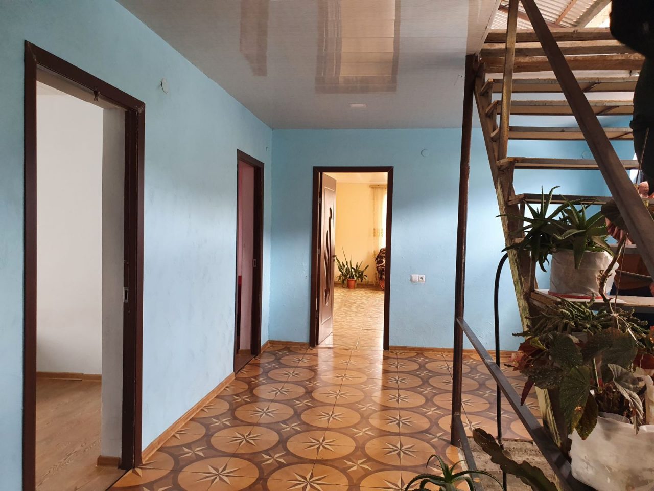 Viva-MTS: Housewarming after 15 Years of Awaiting