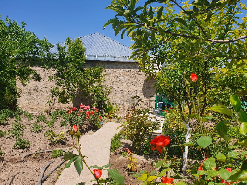 Viva-MTS: A problem of 16 years solved. The semi-constructed building is now a memory