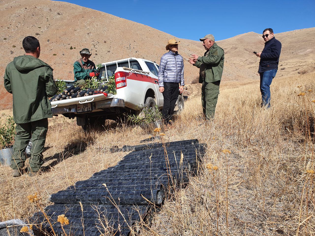 Viva-MTS: Partnership for the sake of environment. Native wild fruit trees were planted in Gnishik settlement