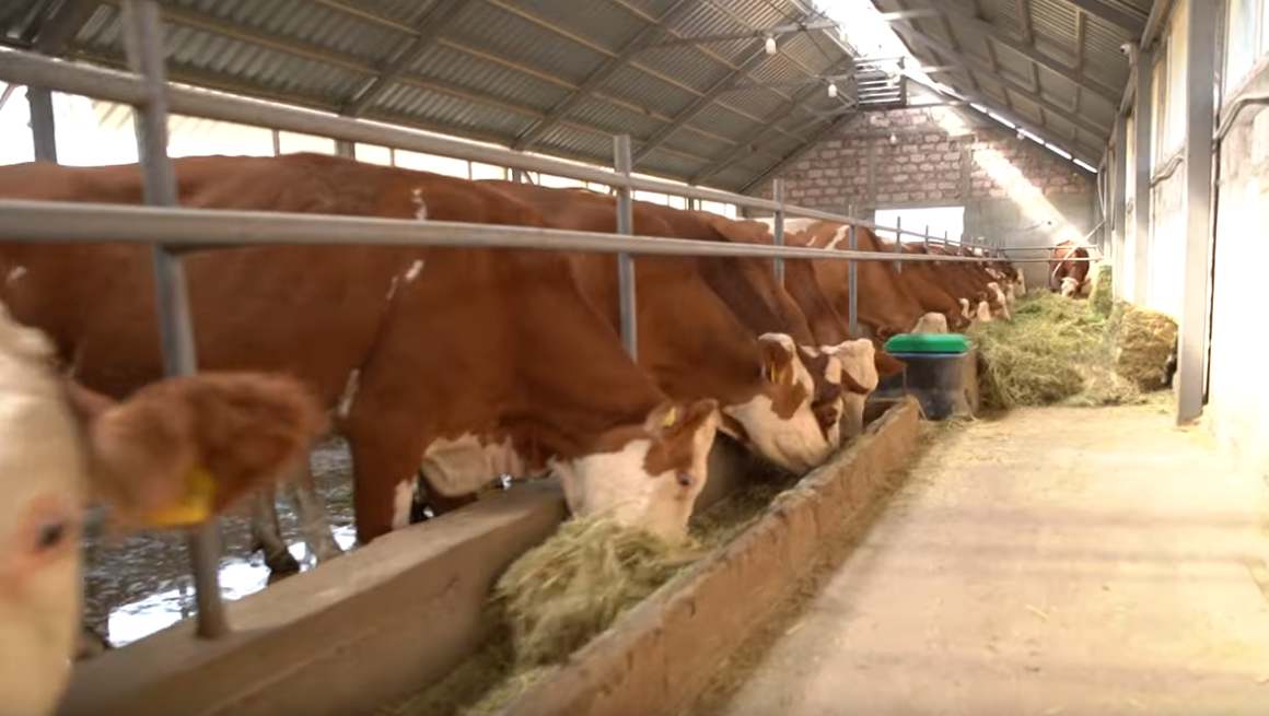 Converse bank: A success story – Smart barn