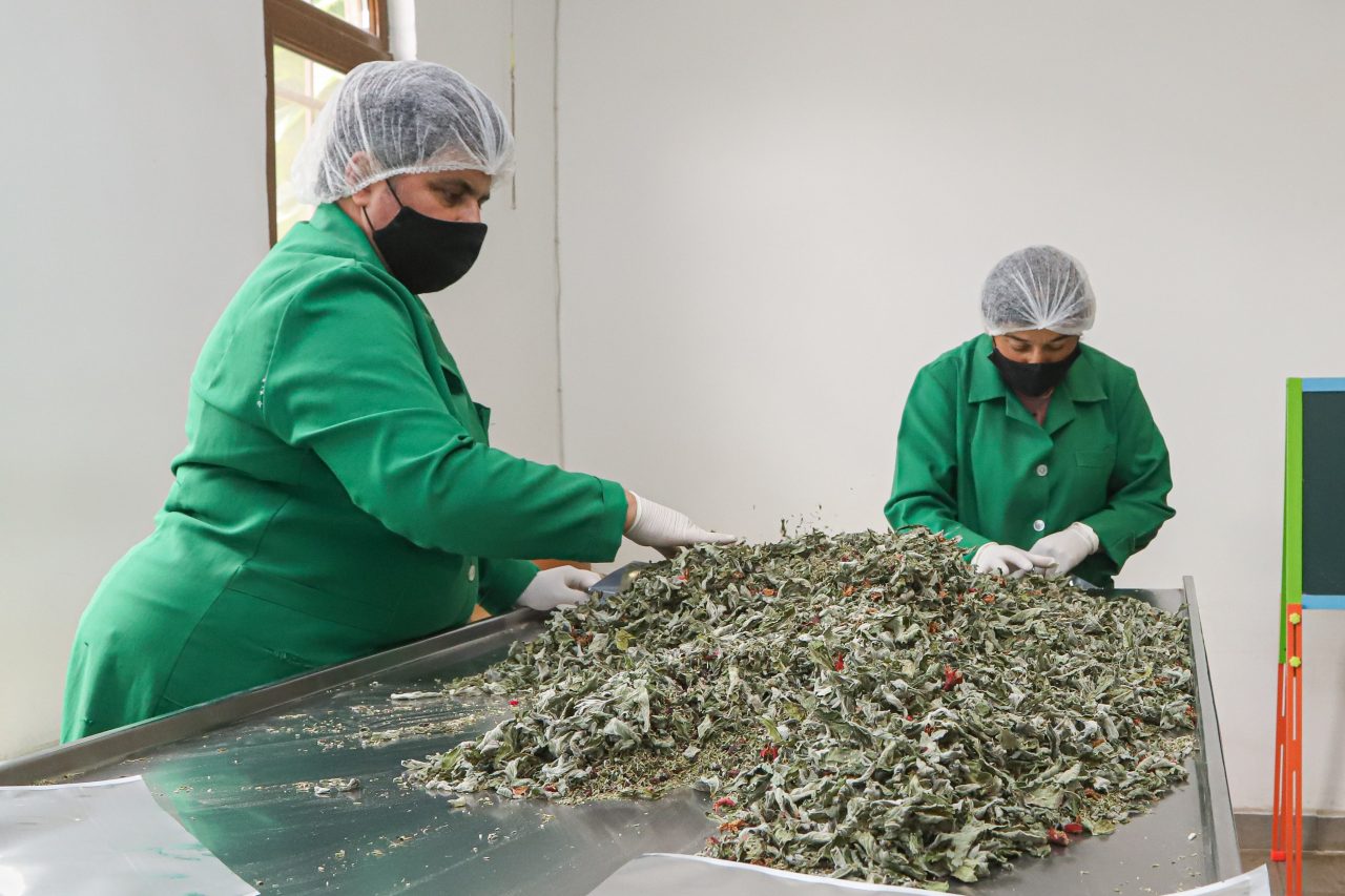 EU4Business: Ready to Trade project beneficiaries report highest export growth rate in 2020-2021