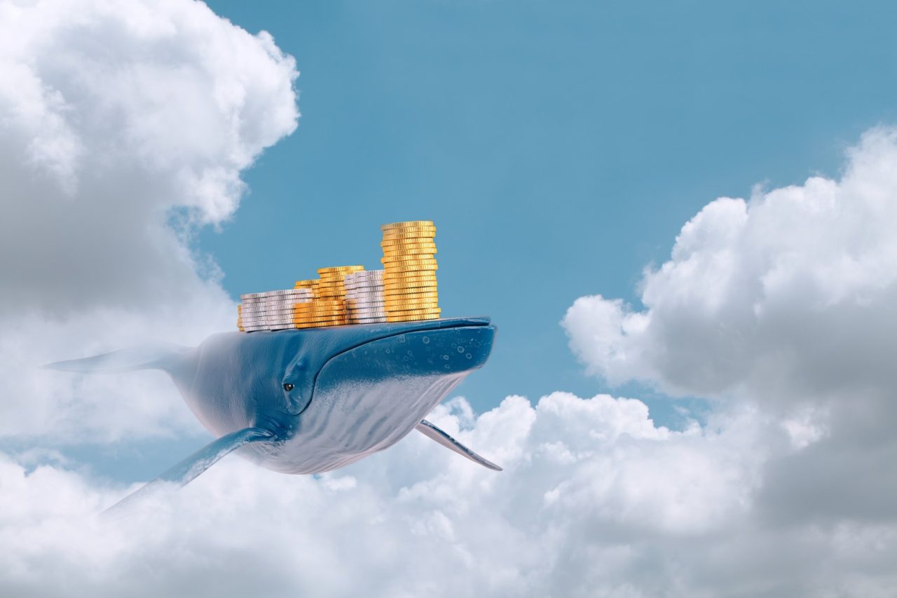 Bybit: BTC Whales Take Exit Liquidity; Trezor to Introduce Coin Mixer to Hardware Wallet