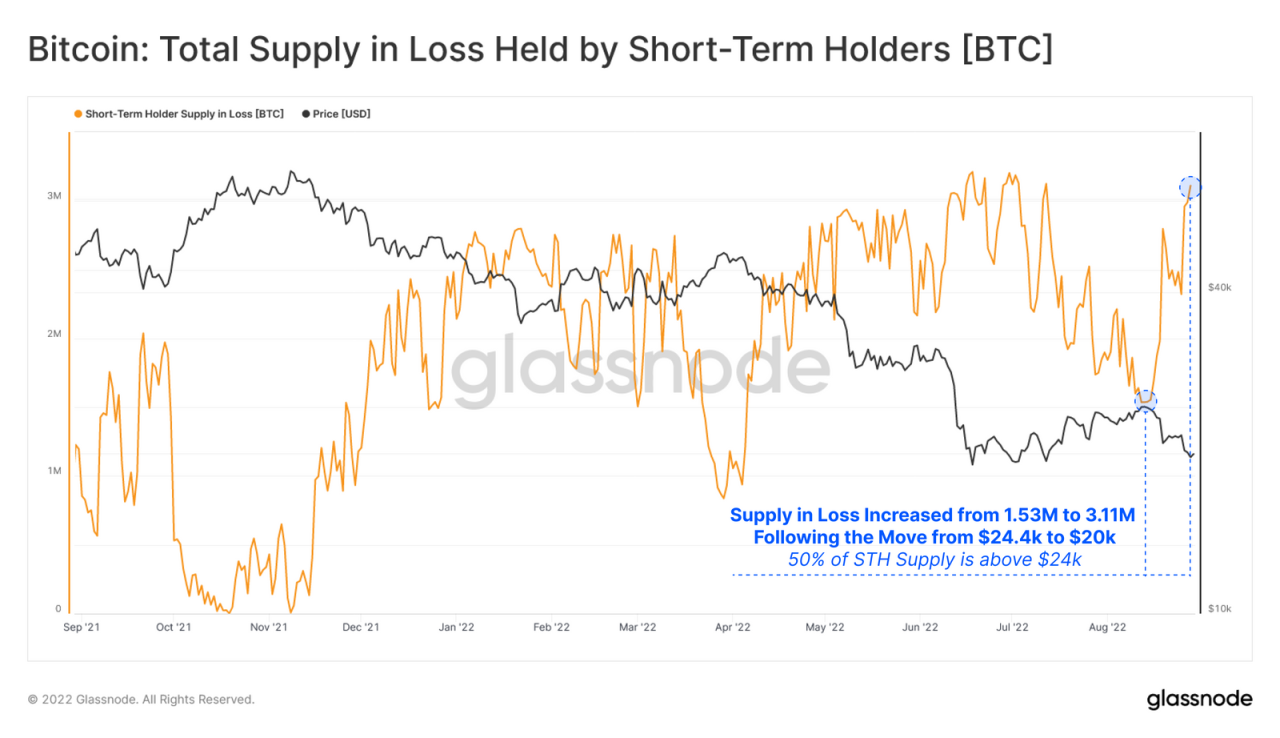 Bybit: BTC STH Losses Approaches Full Saturation; Fed Leader Pushes Stablecoin Legislation