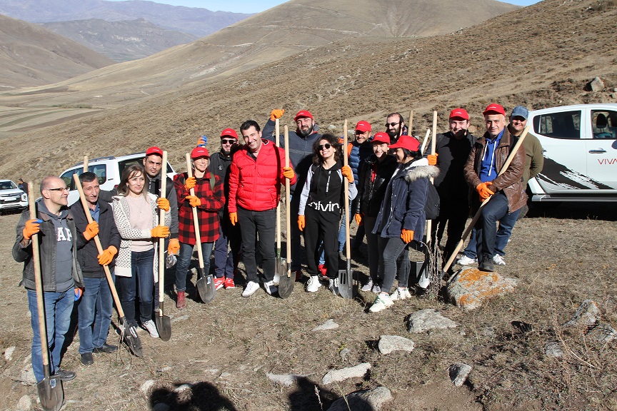 Viva-MTS: the program to grow forest on the bald mountain kicks off