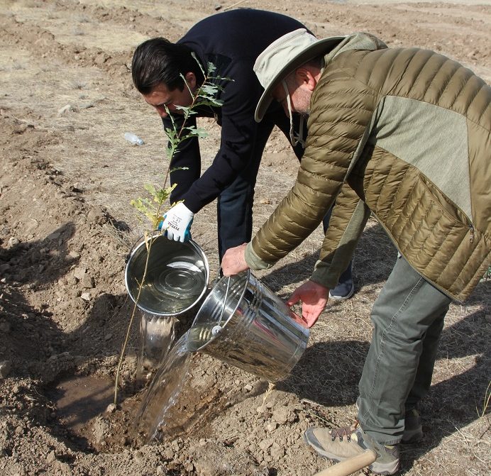 Viva-MTS. Ongoing partnership – justified results