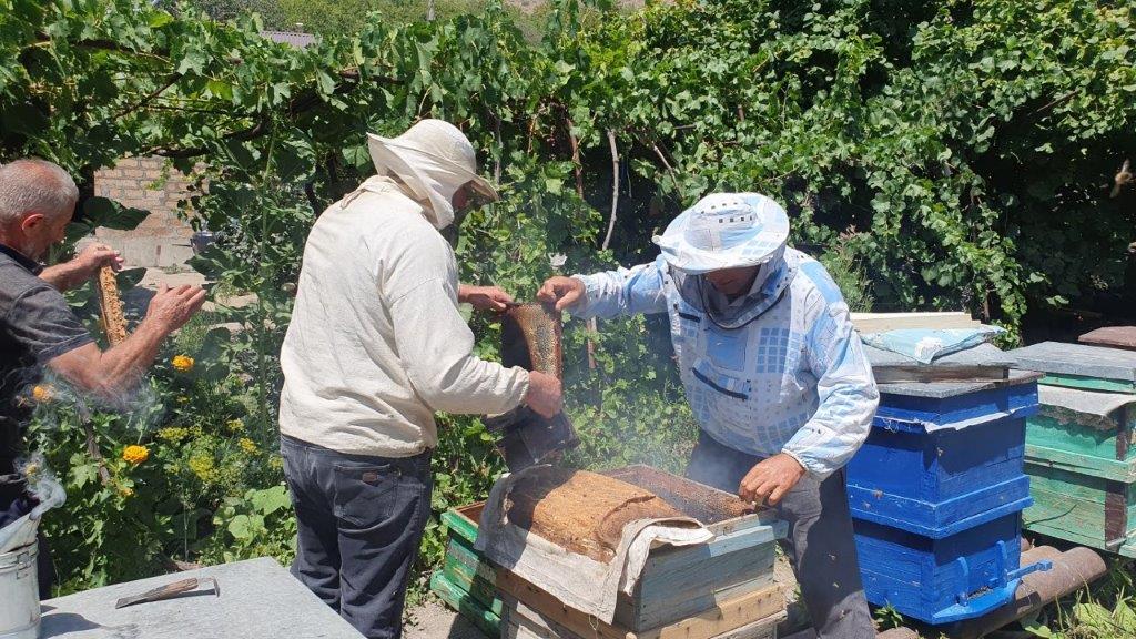 Viva-MTS: Electric fences justified the hopes of farmers.