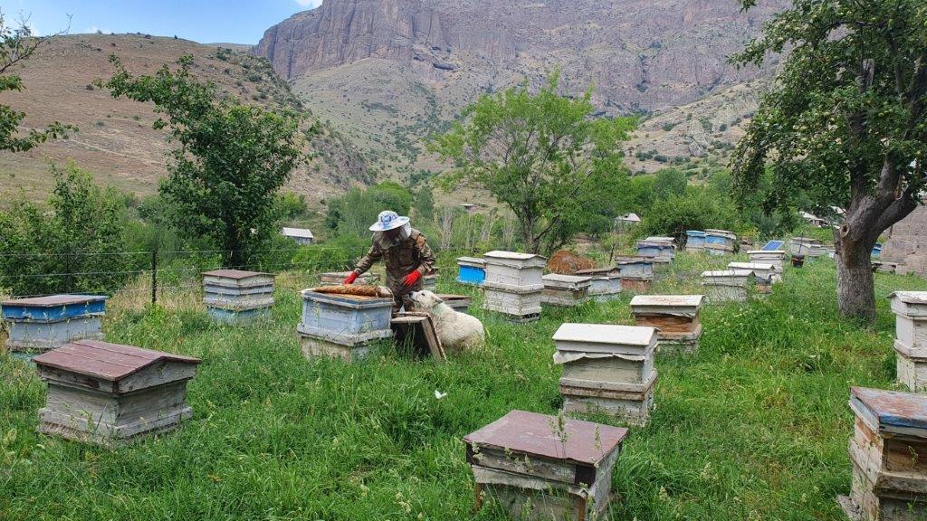 Viva-MTS: Building environmental awareness through the latest technologies