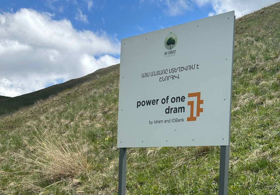 Tree Planting Results with My Forest Armenia: The Power of One Dram