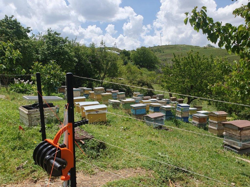 Viva-MTS: Green technologies in Gomq