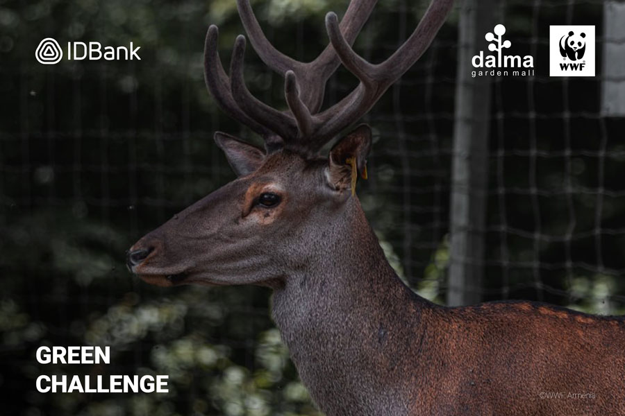 IDBank and Dalma for the Caucasian Deer Reintroduction Program