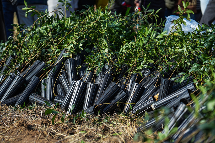 Ucom Employees Participate in Forest Restoration Efforts in Vayots Dzor