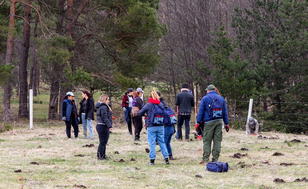 Team Telecom Armenia to Plant a One-Hectare Forest in Lori Region