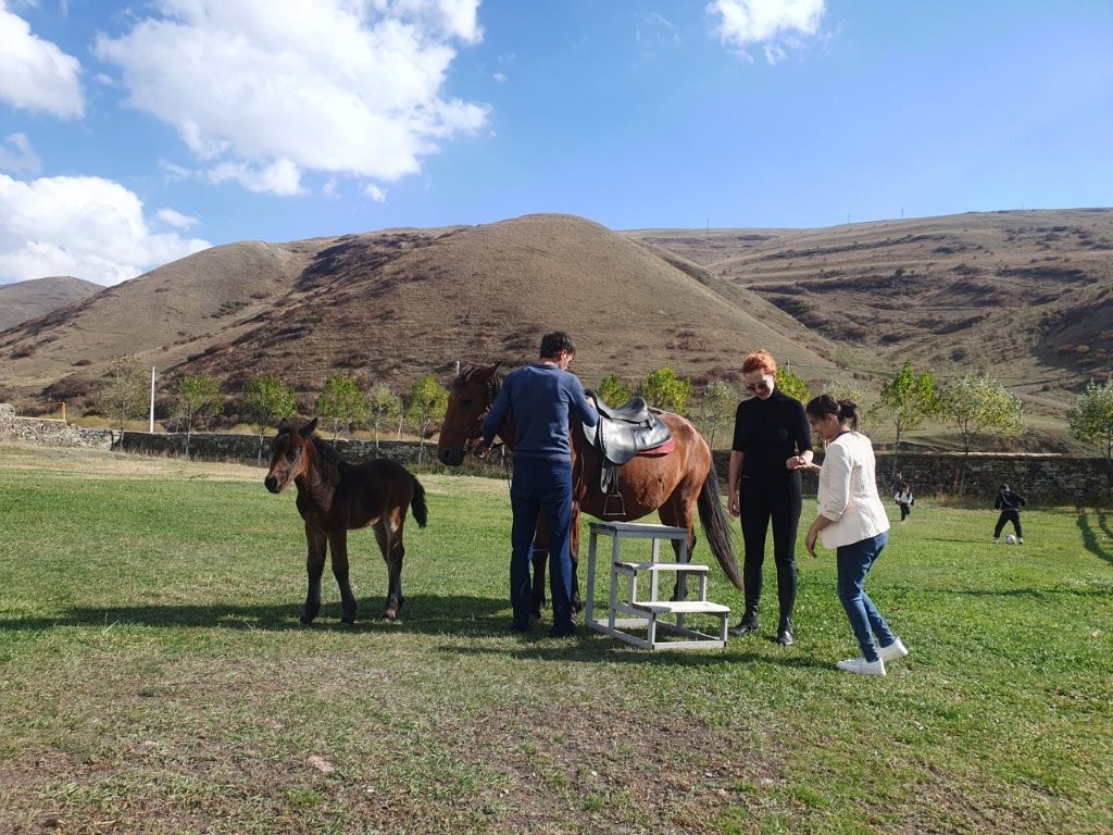 Art as a Bridge of Support for Inclusive Education and Integration: Viva and “Artissimo” Announce Collaboration