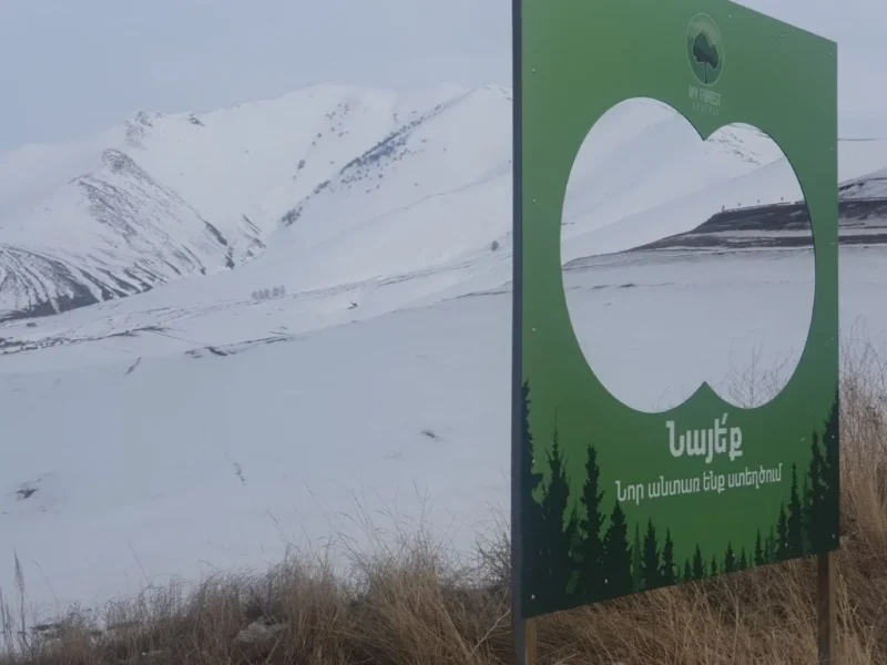 “International Day of Forests” marked by meaningful achievements