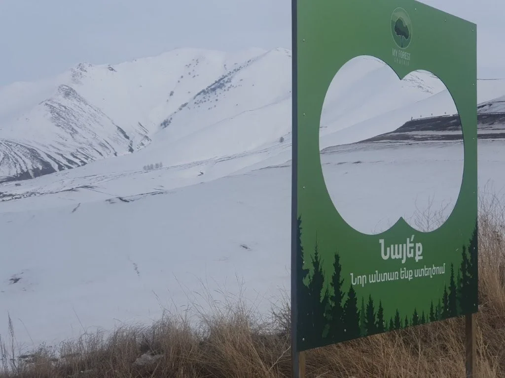 “International Day of Forests” marked by meaningful achievements