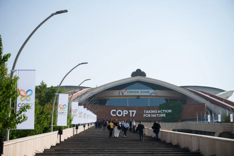 Idram and IDBank Participated in the Opening of My Forest Armenia’s Pavilion at COP17 1 Idram and IDBank Participated in the Opening of My Forest Armenia’s Pavilion at COP17 1